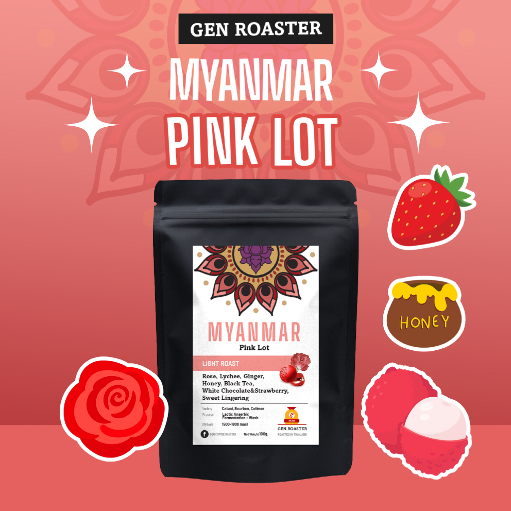 GEN Roaster เมล็ดกาแฟคั่วอ่อน Myanmar shanstate Pink lot หอม กุหลาบ ลิ้นจี่ Process: Lactic Anaerobic Fermentation+Wash