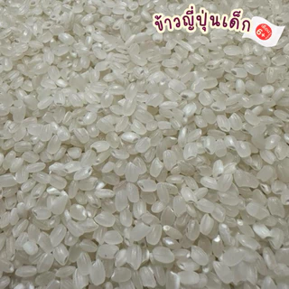 ข้าวญี่ปุ่นเด็ก แม่ข้าวต้มฟาร์ม ขนาด 450กรัม หุงได้ไม่ต้องแช่ ไม่ผ่านการอบมอด ปลูกที่เชียงราย