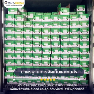 🚨ส่งด่วน🥢ร้านอาหาร🥕แครอท ปลอดสารพิษ 10 กก. ผักร้านอาหาร ผักยกลัง ผักราคาส่ง ผักชาบู ผักโรงแรม ส่ง 24 ชม.