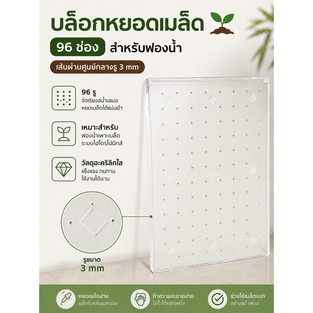 บล็อกเพาะเมล็ด ขึ้นฉ่าย 96 ช่อง รูปที่ 5