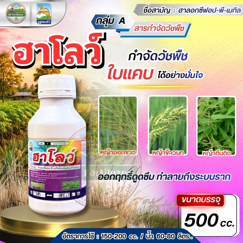 ฮาโลว์ #ฮาลอกซีฟอป-พี-เมทิล 500 ml. เพื่อกำจัดวัชพืชประเภทใบแคบ เช่น หญ้านกสีชมพู หญ้าดอกขาว