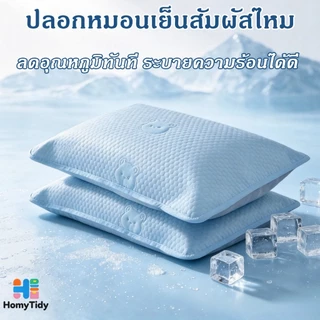 ปลอกหมอน ซื้อ1 แถม1 ปลอกหมอนเย็น มาตรฐาน A ผ้าไหมเย็น ซักได้ กันไรฝุ่น ระบายอากาศดี ปลอกหมอนหนุน 48x74ซม นุ่มลื่น