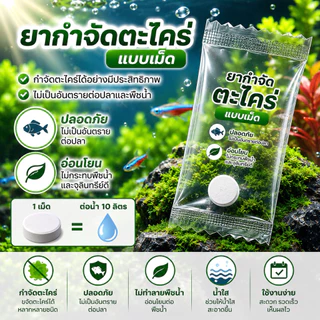 ปุ๋ยน้ำ​ ทำน้ำใส​ บำรุงไม้น้ำ​ ให้แข็งแรง 10ml​ ขนาดแบ่งขาย