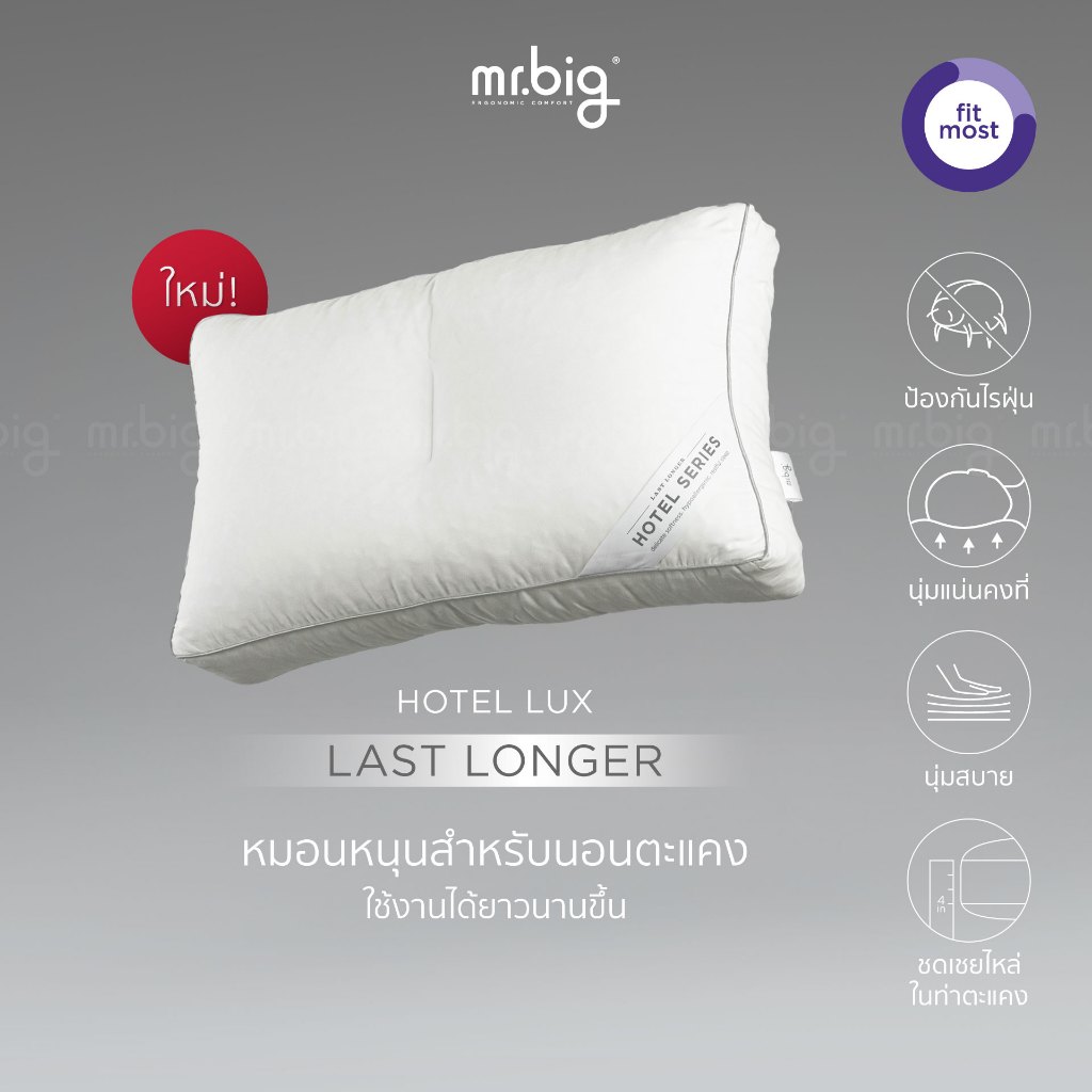 mr.big Hotel Lux Last Longer Pillow