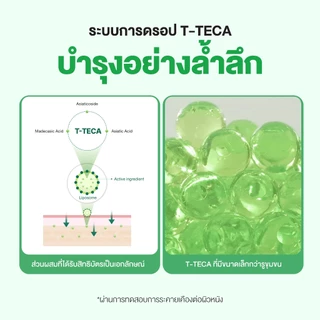 [5 แถม 1 แผ่น] Torriden Balanceful Cica Control Mask Sheet (24ml) - ทอร์ริเดน มาสก์หน้า ลดสิว ลดความมัน