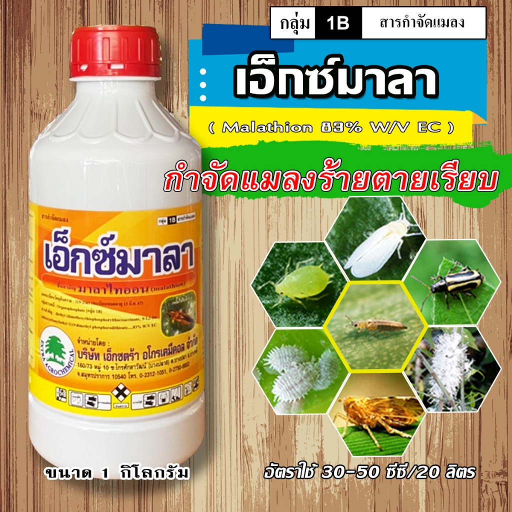 เอ็กมาลา(มาลาไทออน) 1L กำจัดเพลี้ยอ่อน เพลี้ยจักจั่น เพลี้ยแป้ง หนอนคืบ หนอนใยผัก หนอนกระทู้ มวนแดง มวนเขียว แมลงหวี่ขาว