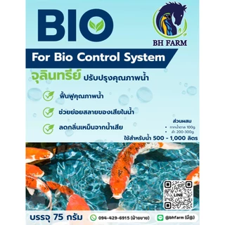 จุลินทรีย์บ่อปลา พร้อมใช้ ไม่ต้องหมัก แก้น้ำเขียว น้ำหนืด ลดเลนก้นบ่อ ลดกลิ่นน้ำเสีย สำหรับปลาสวยงาม กุ้ง และสัตว์น้ำ 75