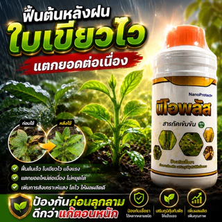 นีโอพลัส สูตรแก้ใบด่างใบจุด ใบซีด ใบหงิก พร้อมกันเชื้อรา ชุดฟื้นพืชโทรม เสริมภูมิพืช ป้องกันใบจุดใบไหม้
