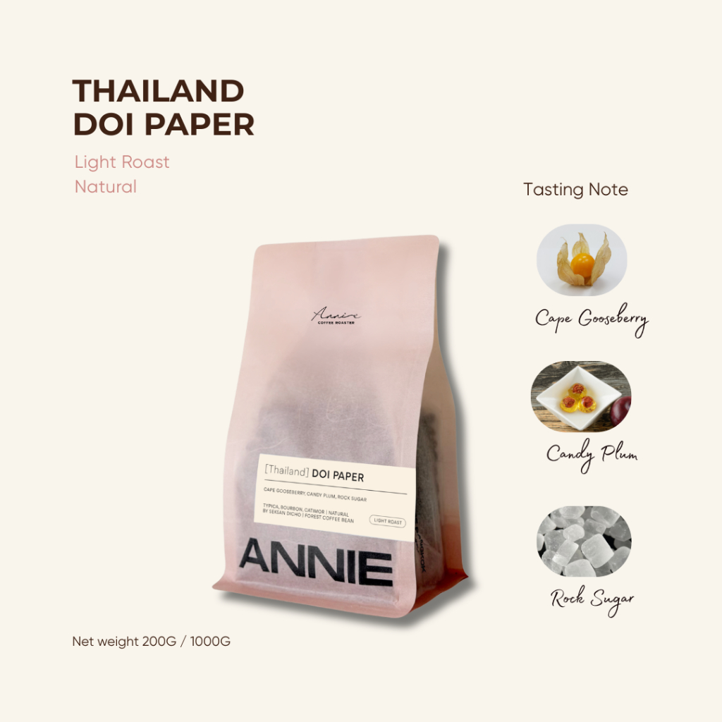 ANNIE - Thailand Doi Paper Natural คั่วอ่อน