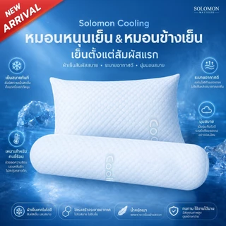 Solomon เซตหมอนหนุนเย็น 1 ใบ และหมอนข้างเย็น 1 ใบ หมอนสัมผัสเย็น ระบายอากาศดี