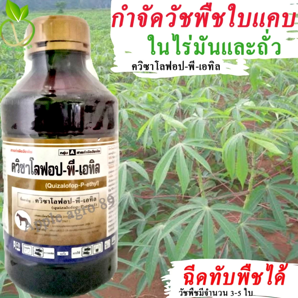 ควิซาโลฟอบ ขนาด 1 ลิตร กำจัดหญ้าใบแคบ ยาฉีดหญ้าใบแคบ ควิซาโลฟอบ กำจัดหญ้าใบแคบ ในไร่มัน