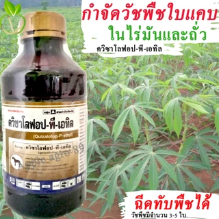 ควิซาโลฟอบ ขนาด 1 ลิตร กำจัดหญ้าใบแคบ ยาฉีดหญ้าใบแคบ ควิซาโลฟอบ กำจัดหญ้าใบแคบ ในไร่มัน