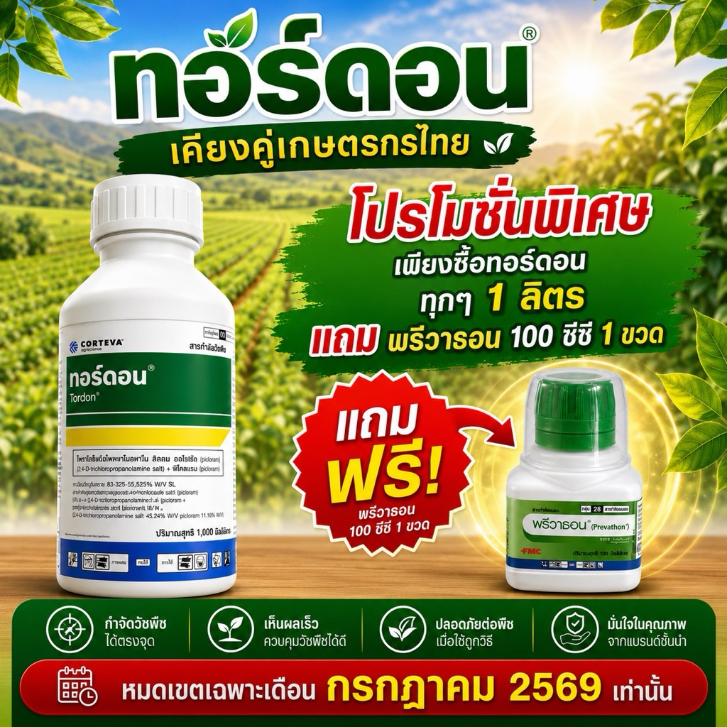 ทอร์ดอน(สาร2,4D&พิโคลแรม)1ขวด(ขนาด 1ลิตร)กำจัดวัชพืชใบกว้าง วัชพืชตระกูลกก ในนาข้าว ไร่อ้อย ปาล์มน้ำมัน