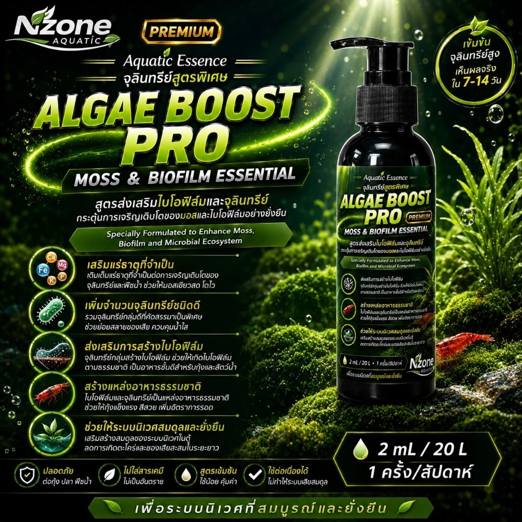 🦠 ALGAE BOOST PRO PREMIUM จุลินทรีย์สูตรพิเศษ สร้างสร้างไบโอฟิล์ม ตะไคร้น้ำสำหรับตู้ลำธาร ตู้กุ้ง และตู้ปลา