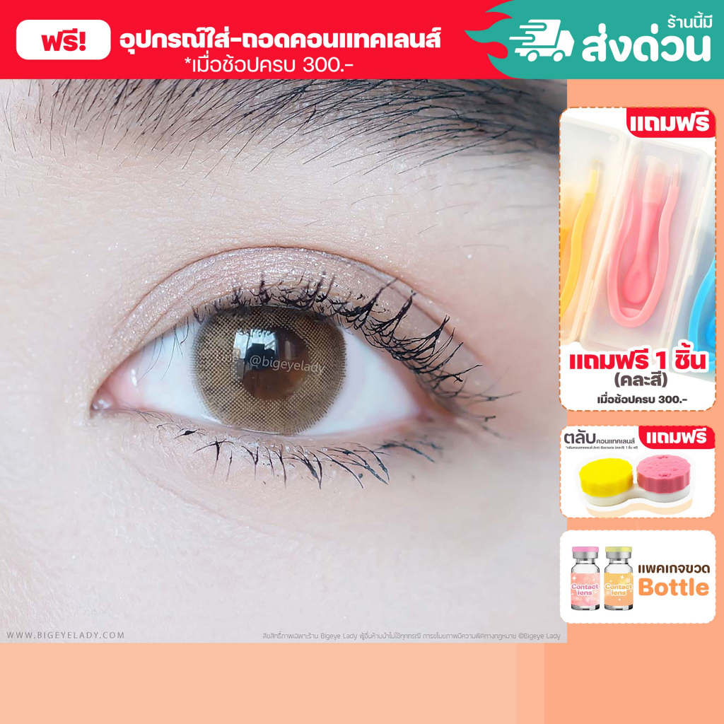 💥[ แถมตลับ Food grade ] Sheer (Gray) ค่าสายตา 0.00-10.00 คอนแทคเลนส์
