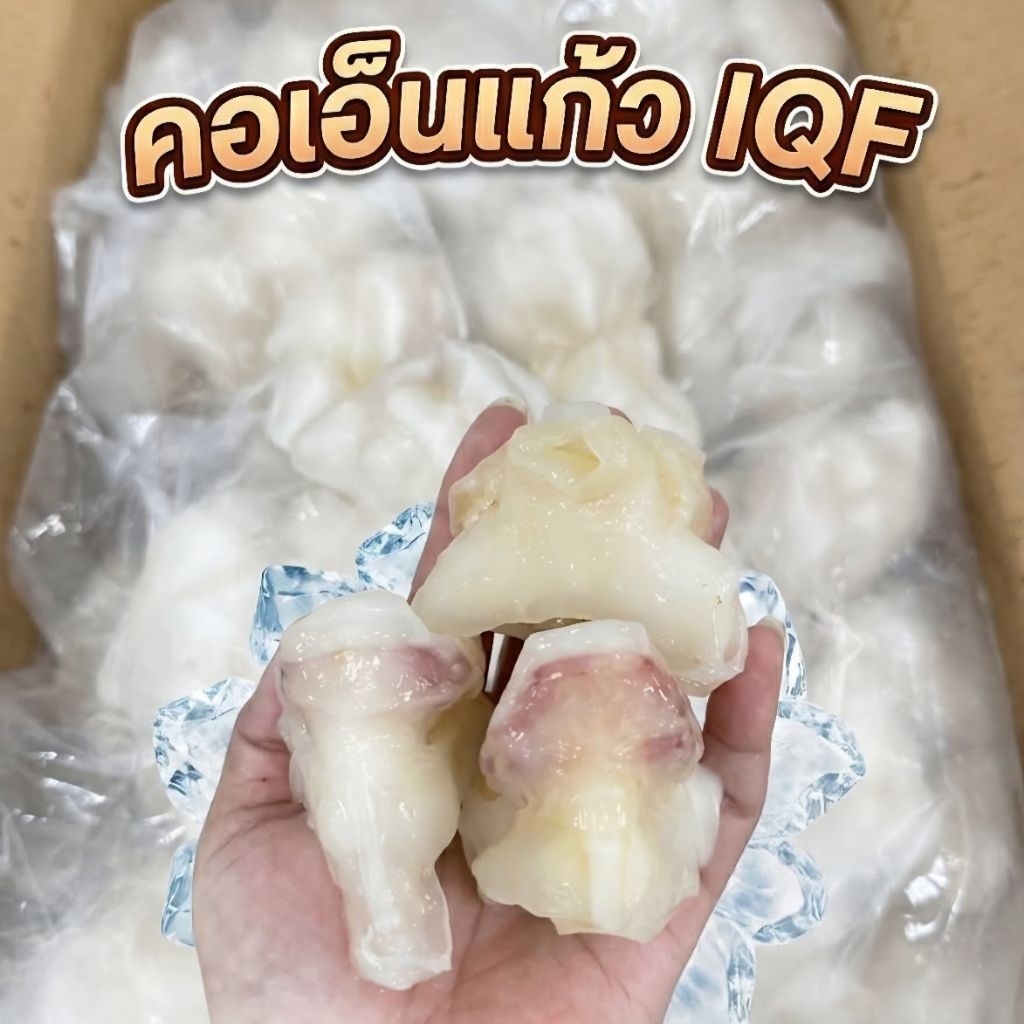 คอเอ็นแก้วหมึก คือเนื้อส่วนคอของหมึก ที่ติดเอ็นหรือกระดูกอ่อนของหมึกแพ็ลล่ะ 1กิโลกรัม นน.ก่อนละลาย
