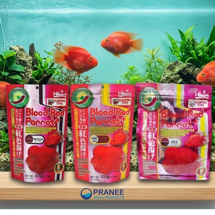 Hikari Blood-Red Parrot (333 g.) อาหารปลาหมอนกแก้ว เร่งสีแดงเป็นพิเศษ ย่อยง่าย (แบบลอย)