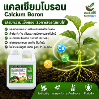 แคลเซียมโบรอน สูตรน้ำเข้มข้น (1ลิตร) ลดปัญหาดอกร่วง ผลร่วง ผลแตก ใบไหม้ ยอดกุด เพิ่มคุณภาพผลผลิต ที่เกษตรกรเลือกใช้