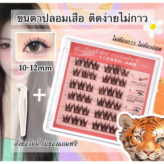 ขนตาปลอมไม่ต้องกาว ลาย12ราศี BQI/UWN ของแท้ สต็อกไทยพร้อมส่ง โปรซื้อ2แถม1