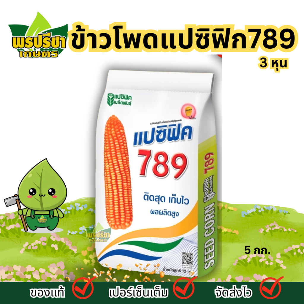 เมล็ดพันธุ์ข้าวโพดเลี้ยงสัตว์ข้าวโพดแปซิฟิก789 3หุน 5กก. | ผลผลิตสูงมาก เปอร์เซ็นต์กะเทาะสูง ฝักทรงก