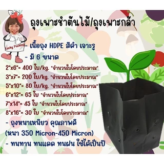 ถูกมากกก🔥 โรงงานถุงขายเอง‼️ถุงเพาะชำ ถุงเพาะต้นกล้า เพาะต้นไม้ สีดำ เจาะรู หนาเหนียวทนทาน