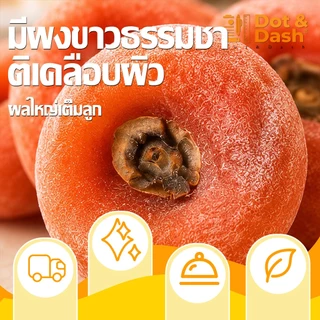 ลูกพลับอบแห้ง 2/3/5pcs เกาหลี ลูกพลับพร้อมทานหวานน้อยอร่อยแบบธรรมชาต ส่งจากไทย