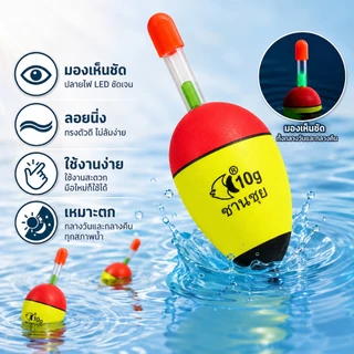 5-80g EVA โฟมตกปลา สําหรับตกปลาคาร์พ เบส Bobber Bobbers ตกปลาลอย