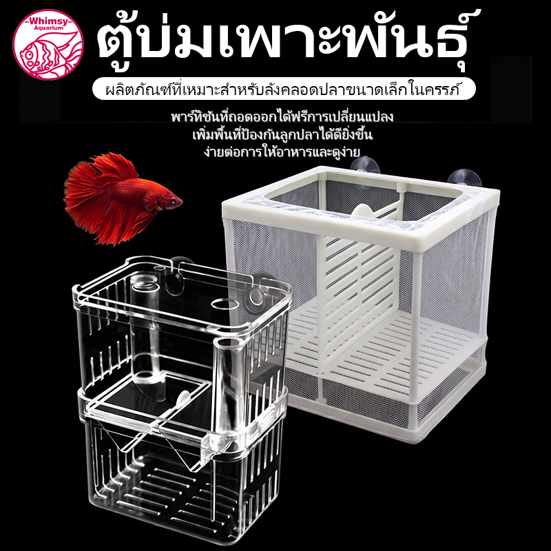กล่องตะข่ายแยกปลาลูกปลาขนาน เพาะพันธุ์ปลา กล่องฟักไข่ แยกได้ 2 ช่อง แบบตาข่าย
