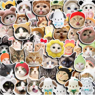 [ตะกร้าแถม] Free Random Sticker (1 pc) | Free over ฿150 สติ๊กเกอร์ของสมนาคุณ 1 ชิ้น (คละแบบ) | ฟรีเมื่อซื้อครบ ฿150