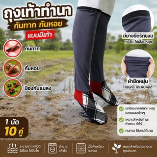 ถุงเท้าทำนาบางยืด กันทาก กันหอย แบบมีเท้า เป็ดบางมียางยืดรัดขอบ 1 มัด 10 คู่