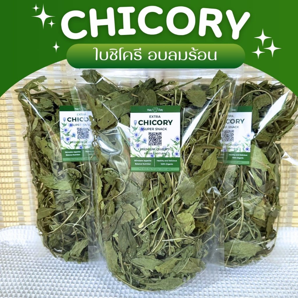 ใบชิโครี Chicory Leaves ใบแดนดิไลออน Dandelions อบลมร้อน