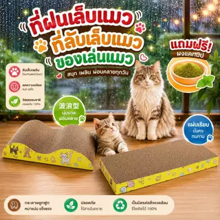 Boqi factory ที่ฝนเล็บแมว กระดาษลูกฟูก แบบ ที่ลับเล็บแมว โซฟาที่ลับเล็บแมว 2 ด้าน ที่ลับเล็บ ที่ลับเล็บแมว Mat JJ