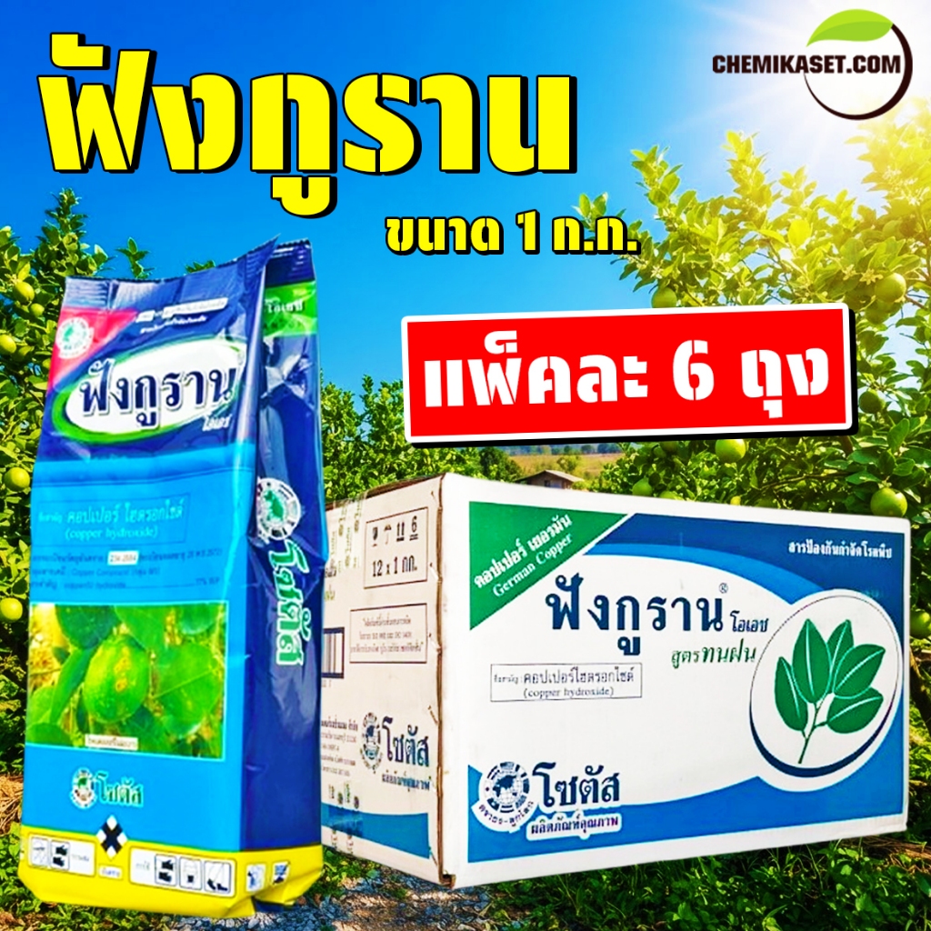 (แพ็ค 6 ถุง) ฟังกูราน ขนาด 1 ก.ก. (สารคอปเปอร์ไฮดรอกไซด์) ใช้ป้องกันกำจัดเชื้อรา แบคทีเรีย และโรคพืช
