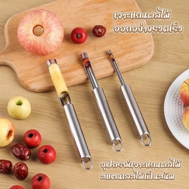 เครื่องคว้านเมล็ดผลไม้ นำเข้าจากกรุงเทพฯ ใช้สำหรับคว้านเมล็ดและแกนผลไม้ เช่น ลูกพลัมมาริอัมมัน อเนกประสงค์ ทำจากสแตนเลสค