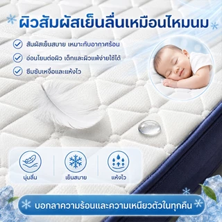 ที่นอนยางพารา 3.5 ฟุต 5ฟุต 6ฟุต 3ฟุต เพื่อสุขภาพ สัมผัสนุ่มแน่น ลดอาการปวดหลัง พับเก็บได้ ส่งฟรี
