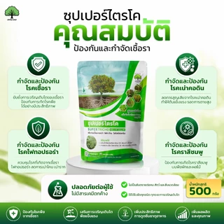 ซุปเปอร์ไตรโค ตราเทพมงคล แพ็ค 10 ซอง ไตรโคเดอร์มา ป้องกัน กำจัดเชื้อราและโรคพืช ขนาด 500 กรัม ชนิดผง