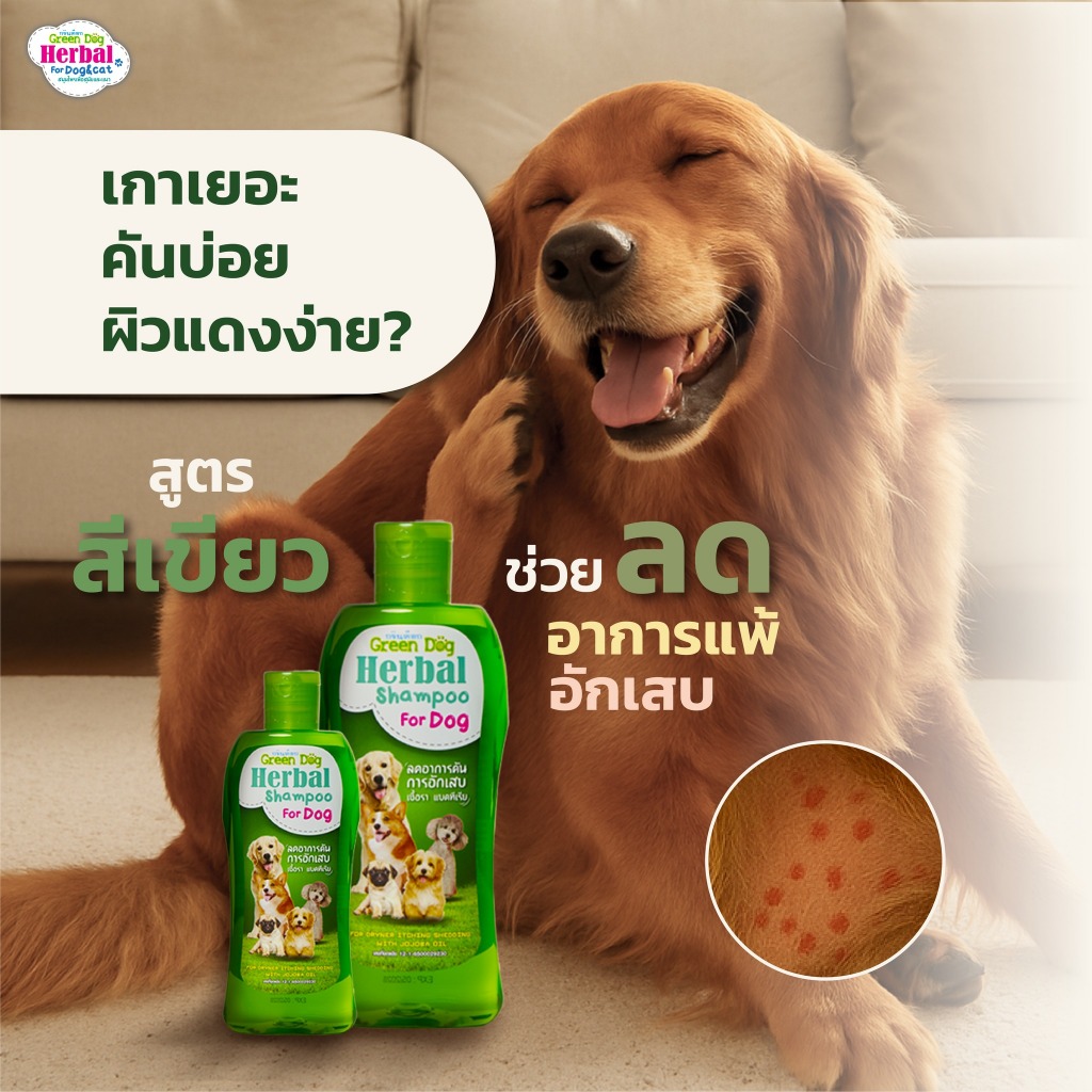 1 ขวด Green Dog แชมพูสุนัข สูตรลดอาการคัน แชมพูสมุนไพร รูปที่ 6