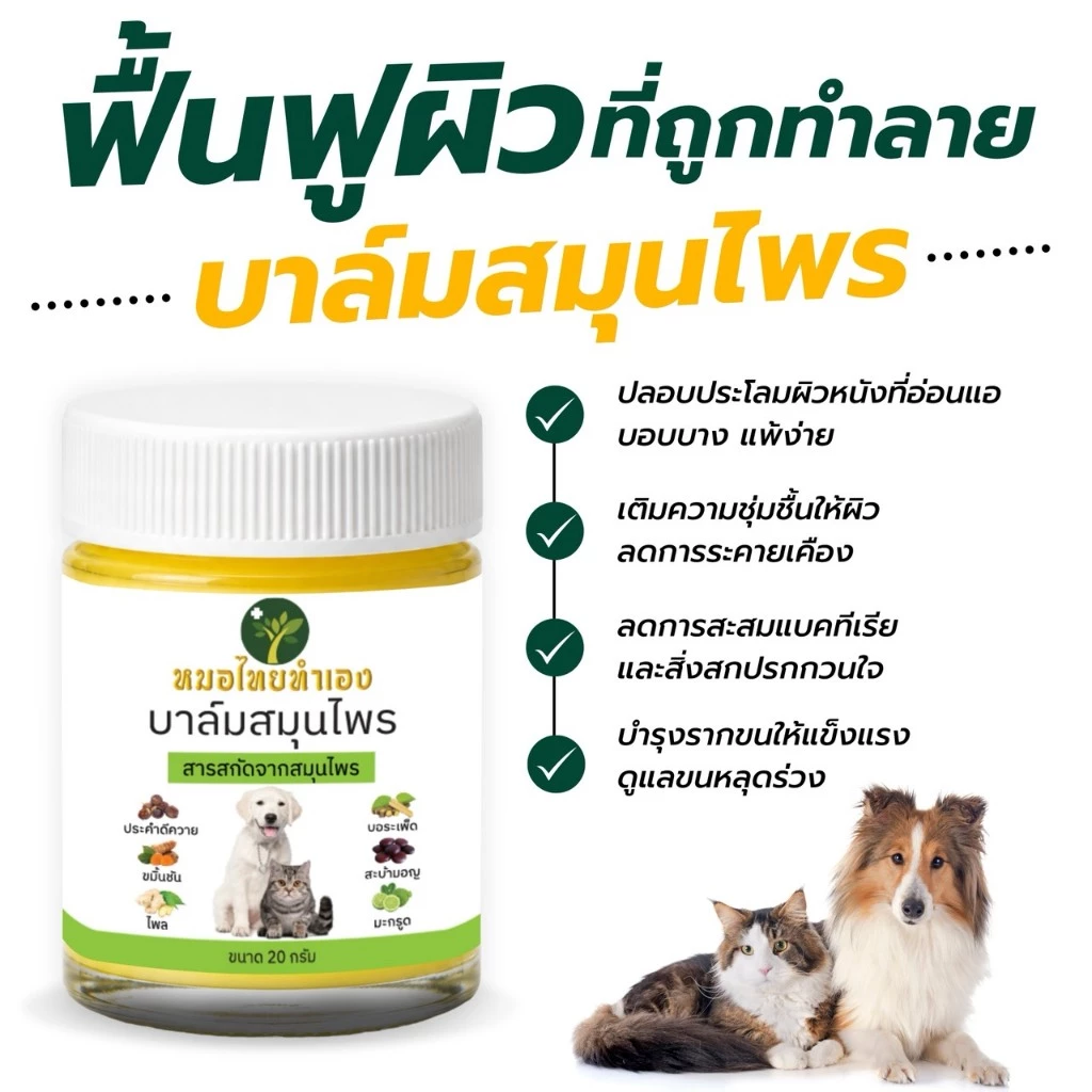 ครีมบาล์มดูแลผิวหนังสัตว์เลี้ยง สูตรสมุนไพร สุนัข แมว 20-50g thumbnail 3