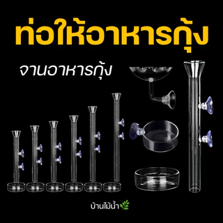 ท่อให้อาหารกุ้ง จานอาหารกุ้ง หลอดให้อาหารกุ้ง จานกุ้ง Shrimp Feeding Food Tube Suction Cup | บ้านไม้น้ำ🌿