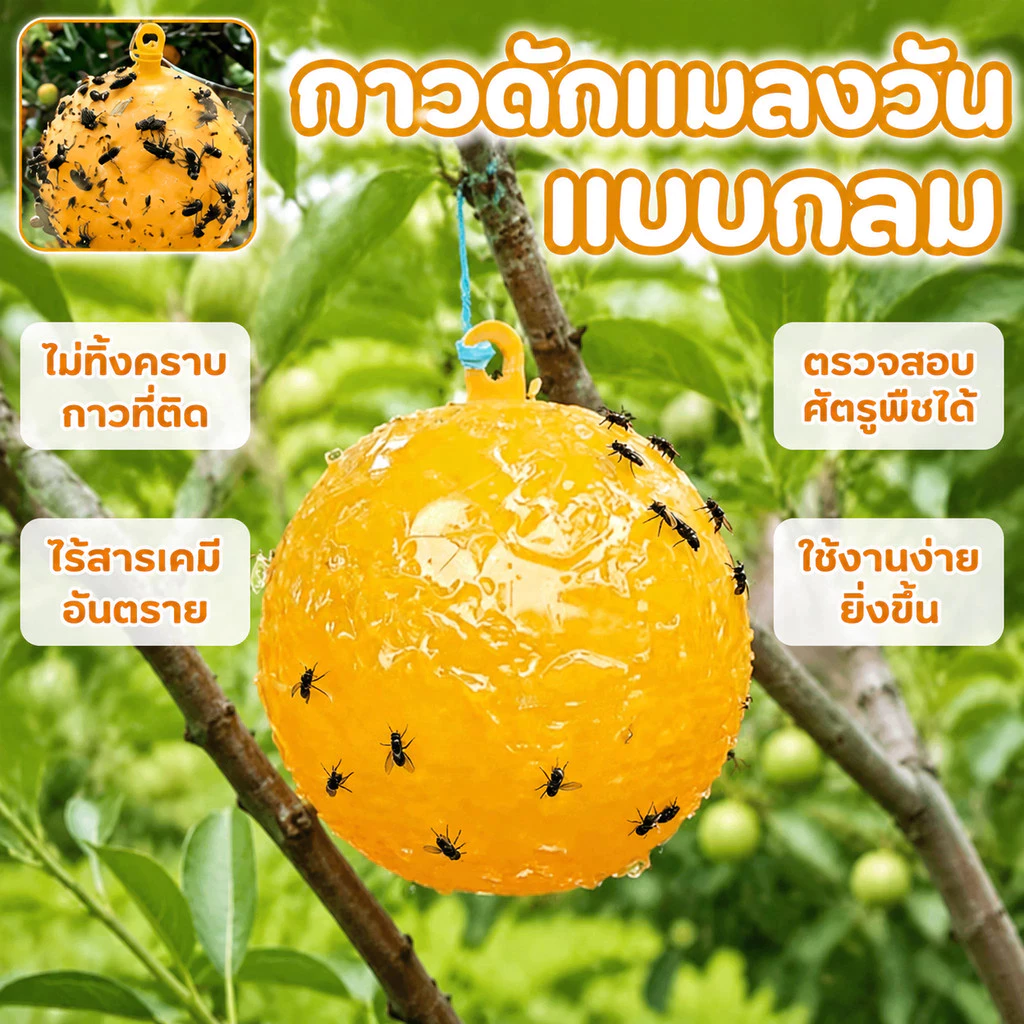 🔥รุ่นอัพเกรด 🔥ได้ผล3ปี🦟ลูกบอลดักแมลง กวาทรงพลัง กันน้ำกันแดด กาวดักแมลงหวี่ ที่ดักแมลงวันทอง กาวดักแมลงวัน ไม่ละลายกาว