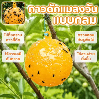 🔥รุ่นอัพเกรด 🔥ได้ผล3ปี🦟ลูกบอลดักแมลง กวาทรงพลัง กันน้ำกันแดด กาวดักแมลงหวี่ ที่ดักแมลงวันทอง กาวดักแมลงวัน ไม่ละลายกาว