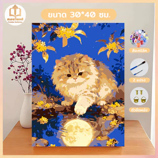 Chokdee ชุดระบายสีตามตัวเลข 30*40ซม [มีเฟรม] ภาพวาดตกแต่งอะคริลิก พร้อมสีและพู่กัน ของขวัญ DIY
