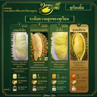 ส่งด่วน1วัน🚚ทุเรียนหมอนทองภูเขาไฟศรีสะเกษแท้ แกะชั่งเนื้อล้วนๆ