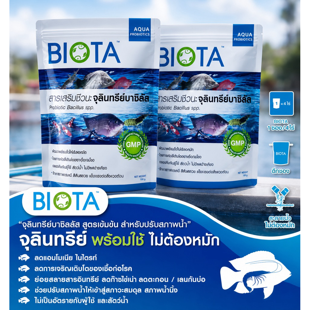 จุลินทรีย์ Biota :แก้ปัญหาน้ำเขียวน้ำเน่า น้ำขุ่นสำหรับบ่อกุ้งบ่อปลา