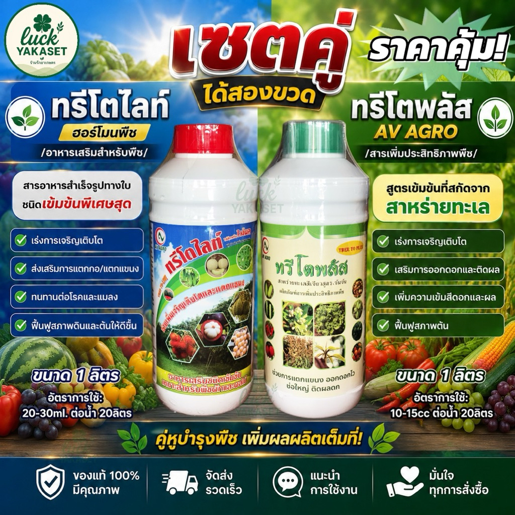 เซตสุดคุ้ม! คู่หูบำรุงพืช เพิ่มผลผลิต ทรีโตไลท์ + ทรีโตพลัส (AV AGRO) 1 ลิตร เร่งต้น เร่งเขียว เร่งแขนง กู้ต้นโทรม