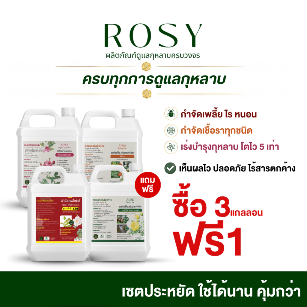 Rosy เซตประหยัด 4 สูตร ดูแลกุหลาบครบวงจร ไซส์แกลลอนจุใจ ใช้ได้นาน คุ้มกว่ากำจัดเพลี้ย เชื้อรา พร้อมเร่งดอก