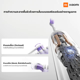 Xiaomi Electric Toothbrush Pro Purple แปรงสีฟันระบบสั่น รุ่น Pro แบตอึด 180 วัน รับประกันศูนย์ 1 ปี