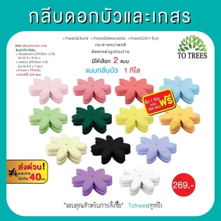 Totrees กลีบดอกบัวและเกสร ดอกไม้จันทน์ ดอกไม้DIY มีให้ 2 แบบ ครึ่งโล และ 1กิโลกรัม/สี รหัส กลีบบัวและเกสร
