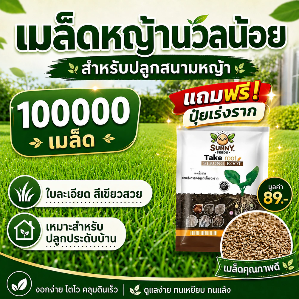 เมล็ดหญ้านวลน้อย 100,000 เมล็ด แถมฟรีปุ๋ยเร่งราก 1 ซอง สำหรับปลูกสนามหญ้า จัดสวน คลุมดิน ทนร้อน ดูแลง่าย