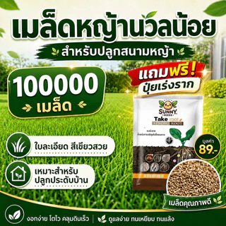 เมล็ดหญ้านวลน้อย 100,000 เมล็ด แถมฟรีปุ๋ยเร่งราก 1 ซอง สำหรับปลูกสนามหญ้า จัดสวน คลุมดิน ทนร้อน ดูแลง่าย